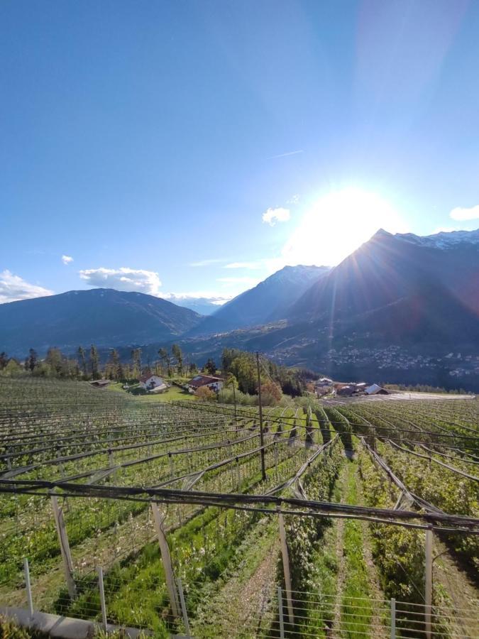 Apartmán Pruensterhof Schenna Exteriér fotografie
