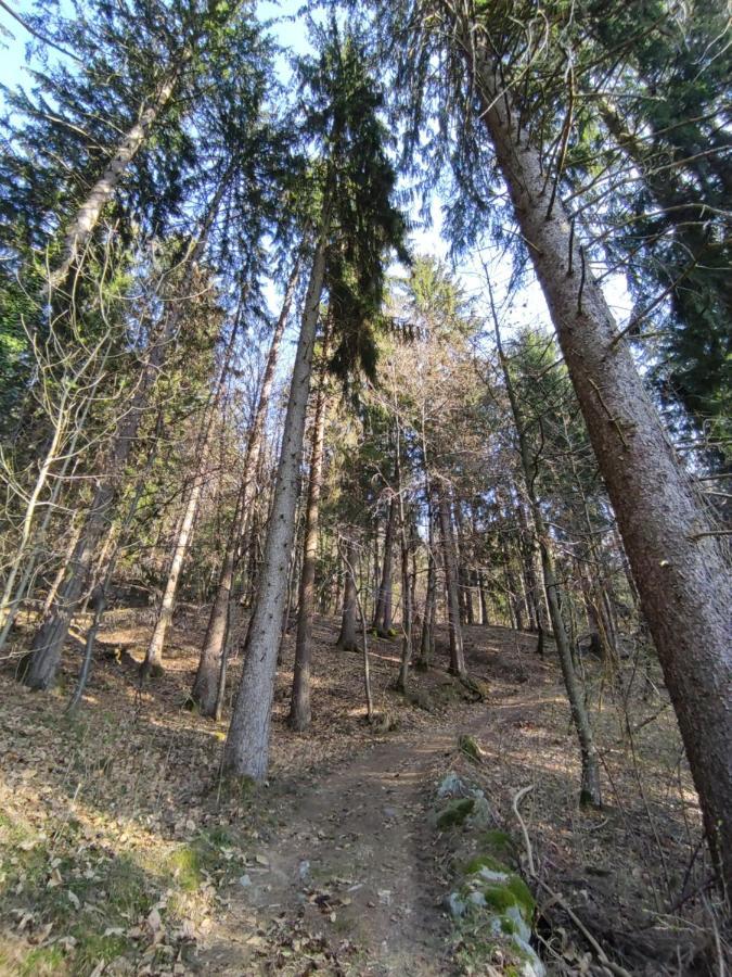 Apartmán Pruensterhof Schenna Exteriér fotografie