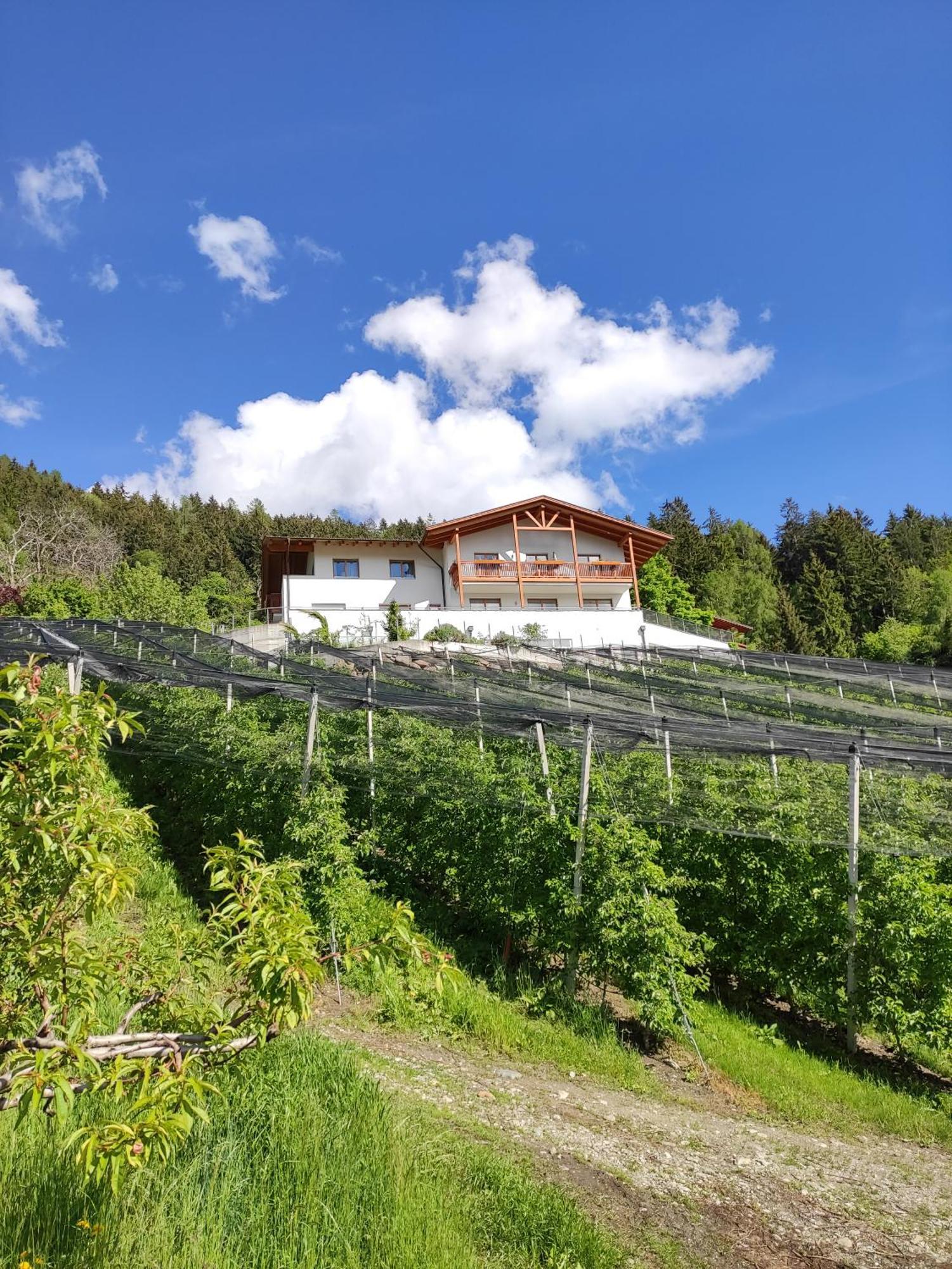Apartmán Pruensterhof Schenna Exteriér fotografie