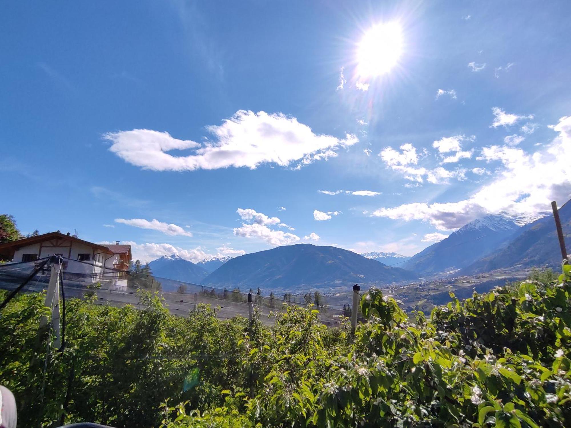 Apartmán Pruensterhof Schenna Exteriér fotografie